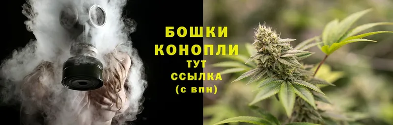 Бошки марихуана SATIVA & INDICA  что такое   Шахты 